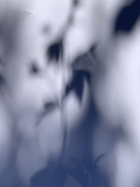 Komorebi Blue Two
