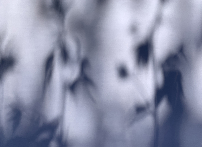 Komorebi Blue Three