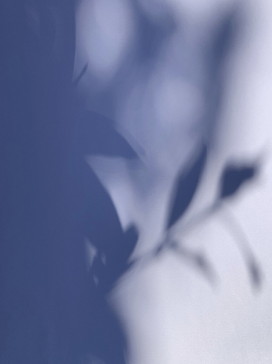 Komorebi Blue Four