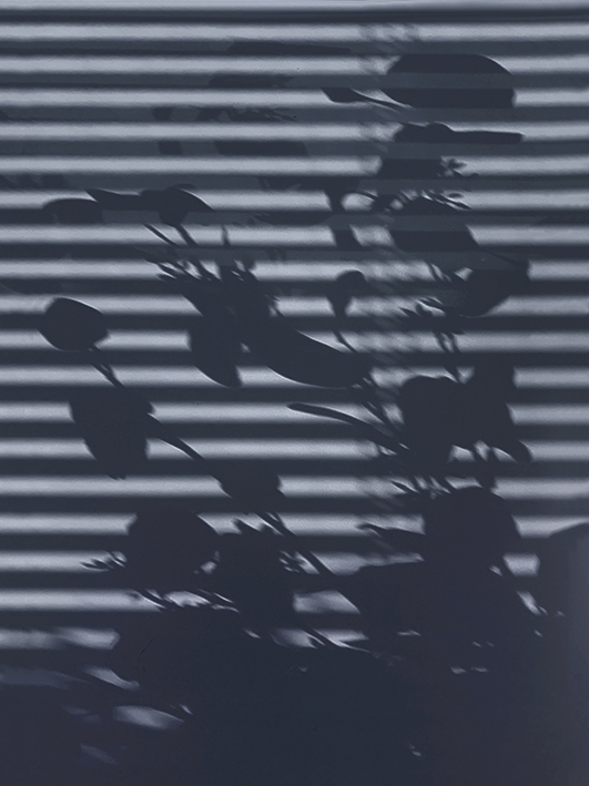 Komorebi Blue Eight