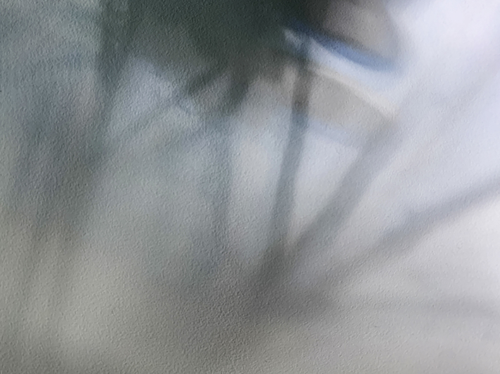 Komorebi Pastel Fourteen
